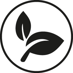 Discover vegan Delights