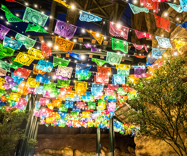 cf-winter-mexico_04.jpg